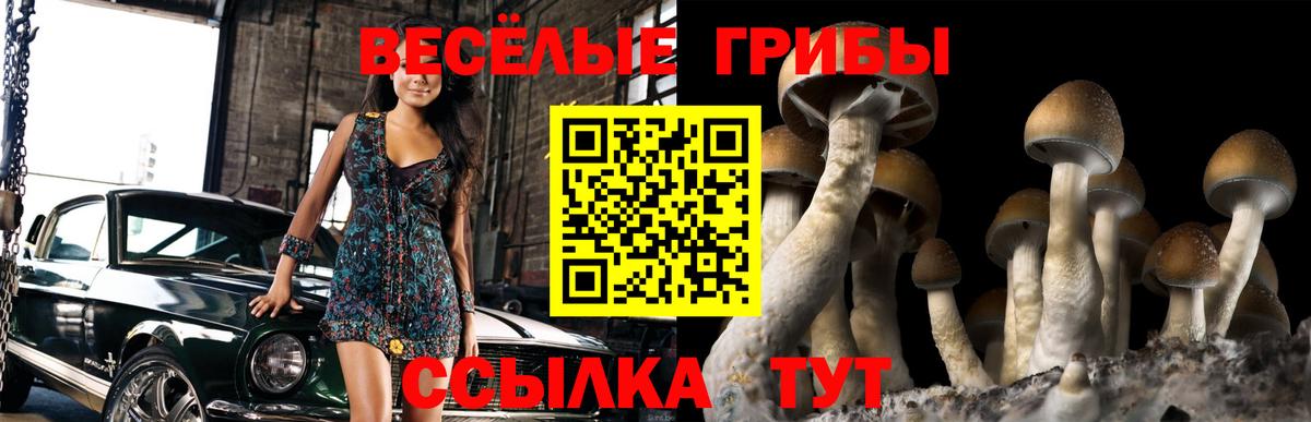 Псилоцибиновые грибы GOLDEN TEACHER Сердобск